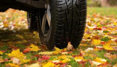 В Рязгордуме продолжаются споры о повторных штрафах за парковку на газонах