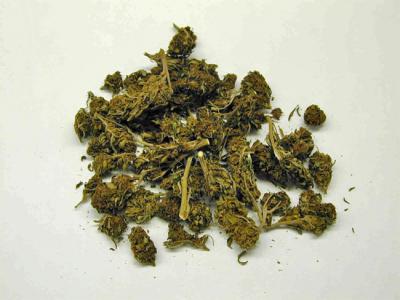 Незаконный оборот марихуаны пресечён в Скопине