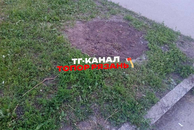 На Лыбедском бульваре в Рязани пропали коты