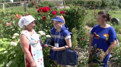 Цифры для аграрного развития