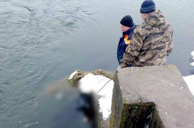 В новомичуринском водохранилище нашли труп женщины