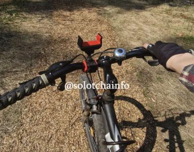 Рязанцев возмутили дорожки из опилок в Солотче