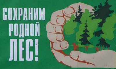 На Рязанщине действующих лесных пожаров нет