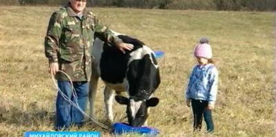 Перекупщики не дают заработать рязанским животноводам