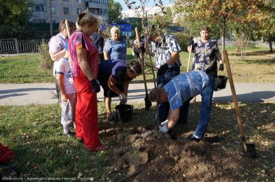В Дашково-Песочне посадили «Аллею ТОСов»