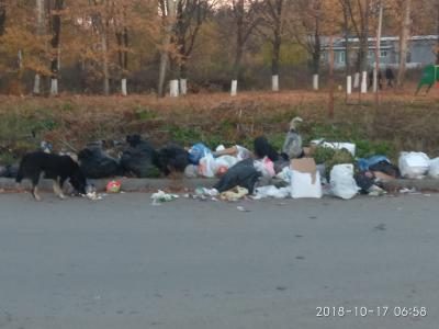 Рязанцы вновь беспокоятся за детскую площадку на Ворошиловке