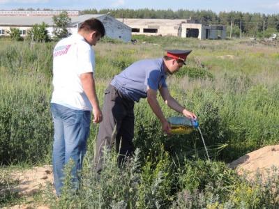 Рязанские молодогвардейцы уничтожили плантацию конопли