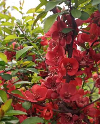 В Рязанской области потеплеет до 14 градусов