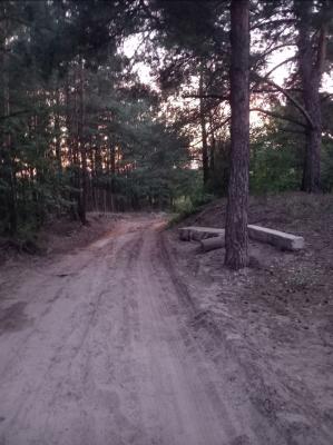 Вблизи «медицинского» пляжа в Солотче нарушили пешеходную зону 