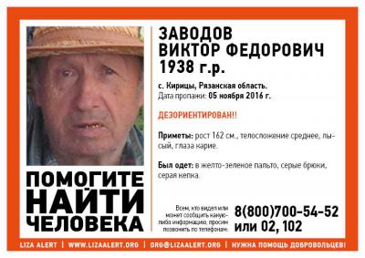 Под Рязанью ищут пропавшего пенсионера