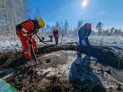 Лесам Рязанской области угрожают «зомби-пожары»