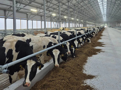 Рязанские аграрии бьют рекорды