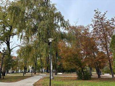 В рязанском регионе ожидается небольшой дождь