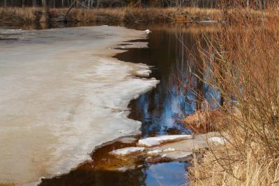 Рязанские учёные рассчитывают, что уровень половодья будет выше среднего