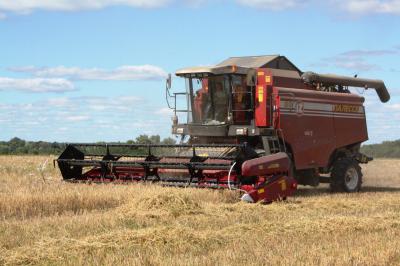На Рязанщине создали оперативный штаб по организации заготовки кормов и уборки урожая