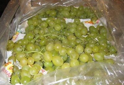 В Рязани и Спас-Клепиках уничтожили санкционный виноград