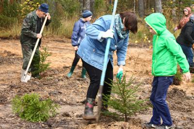 Рязанские активисты ОНФ провели акцию «Лесу — да! Свалкам — нет!» близ Касимова
