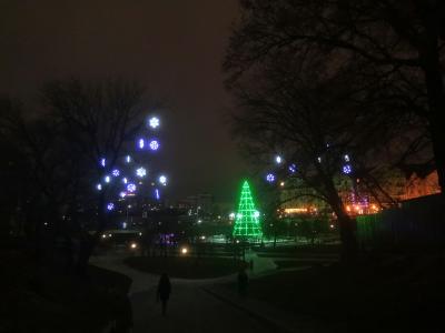 В центре Рязани открыли каток