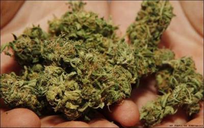 У безработного жителя Касимова изъяли марихуану