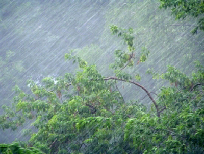 В Рязанской области объявили метеопредупреждение