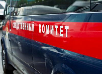 В Сасово трёхлетний малыш упал с карусели вместе с машинкой, в которой сидел