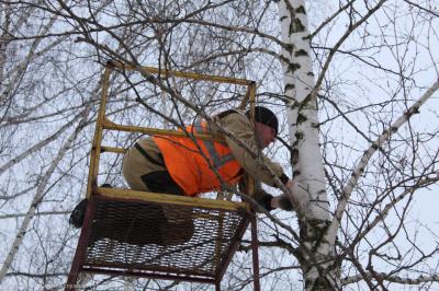 В Комсомольском парке начали монтировать праздничную иллюминацию