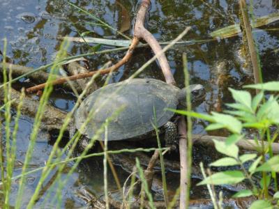 Фото: пользователь соцсети «ВКонтакте» Татьяна Маркина