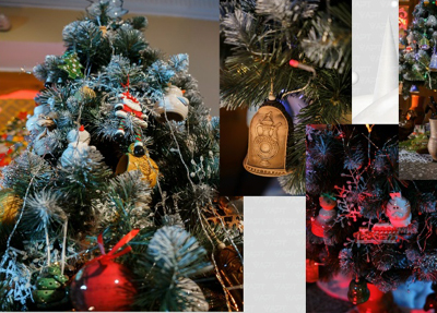 Рязанская область участвует во Всероссийском конкурсе на лучшую новогоднюю ель