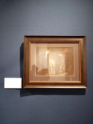 Рязанский исторический музей знакомит горожан с творчеством Николая Чернова  