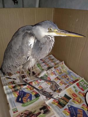 Фото: пользователь соцсети «ВКонтакте» Валентин Варламов