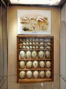 1000053327.jpg title=