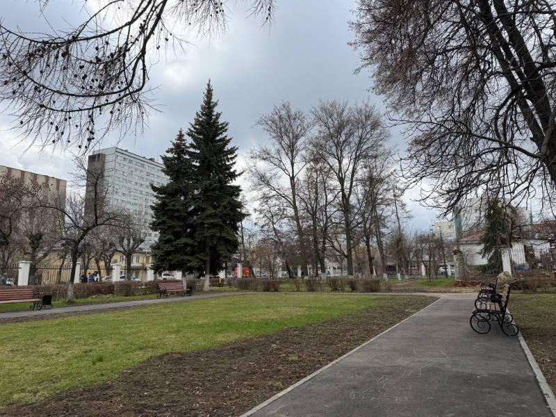 В Рязанской области ночью похолодает до минус 1 градуса