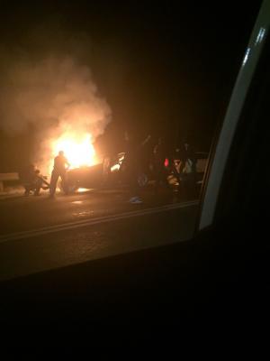 Фото: пользователь соцсети «ВКонтакте» Екатерина Михеева