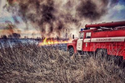 С начала года рязанские спасатели 1200 раз тушили траву