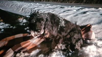 Фото: пользователь соцсети «ВКонтакте» Георгий Парублев