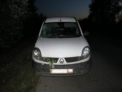 Пьяный водитель сбил насмерть велосипедистку в Спасском районе