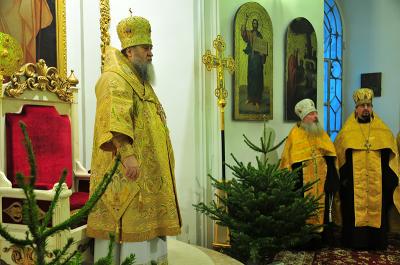 Рязанскому митрополиту подарили трон