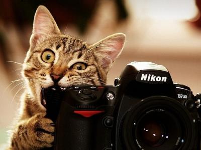 Академия современной фотографии приглашает рязанцев на цикл лекций