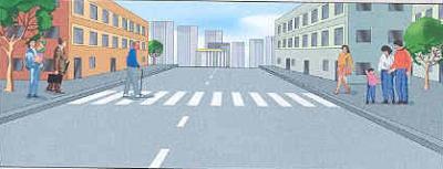 Наказаны водители, не пропускающие рязанских пешеходов