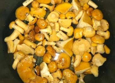 В Клепиковском районе начали собирать лисички