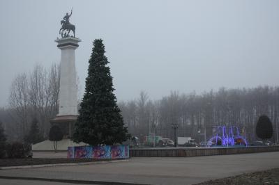 Главная новогодняя ель Рязани прибавит в размерах