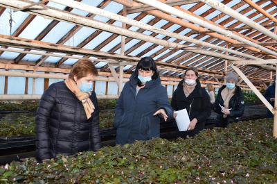 В концепцию цветочного оформления Рязани внесут изменения