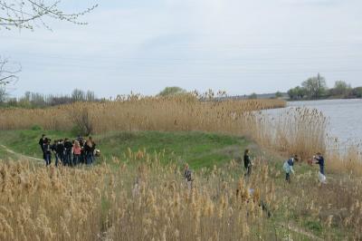 В Рязанской области стало меньше мусора