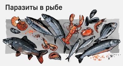 В питавшуюся сырой речной рыбой рязанку вселились паразиты