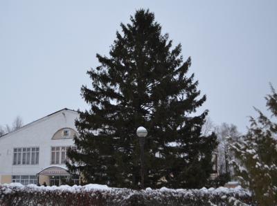 Игрушки для новогодней ели в Сараях будут приобретать в процессе её украшения