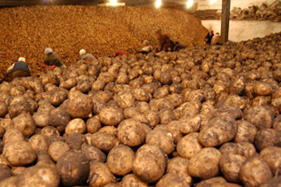 У жителя Клепиков арестовали картофелехранилище, землю и погрузчик