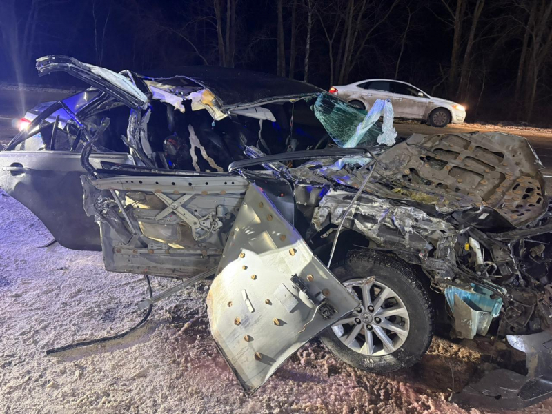 Под Рязанью грузовик размазал Toyota Camry, пострадали двое взрослых и четверо детей