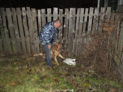 Касимовская ищейка нашла вора