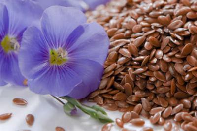 На Рязанщине увлеклись выращиванием масличного льна