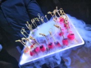 Image000399.jpg title=